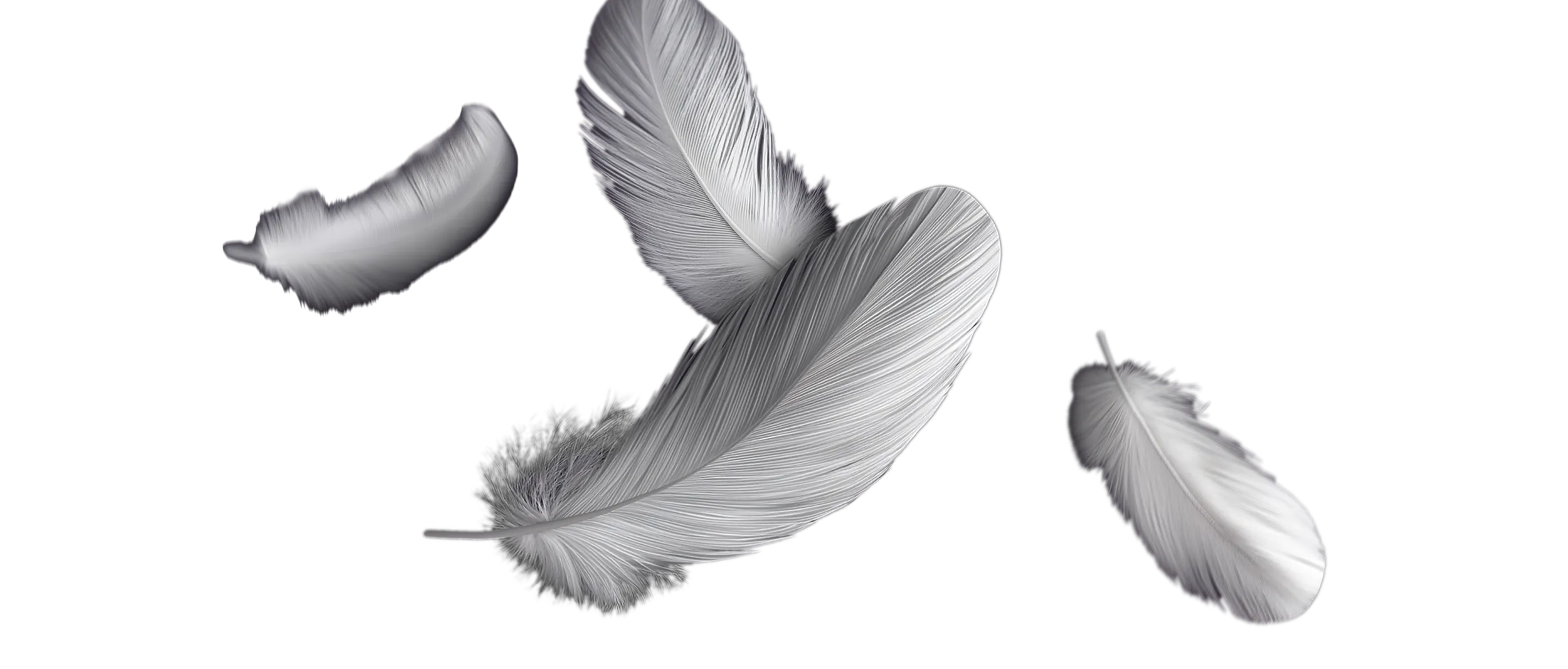 Onze hotels - Carlton Collection hotels in Europa